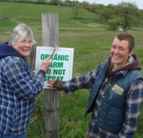 grassroots