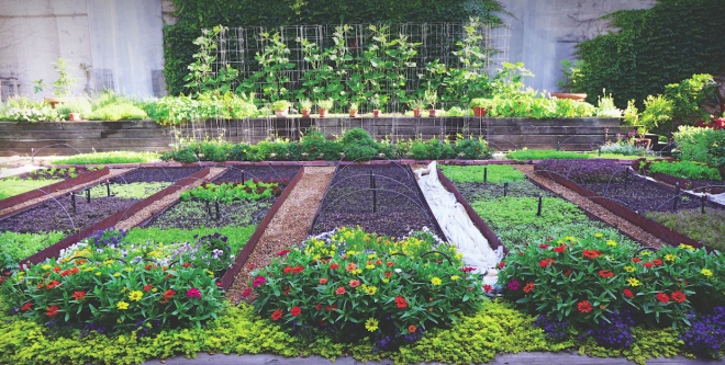 Garden