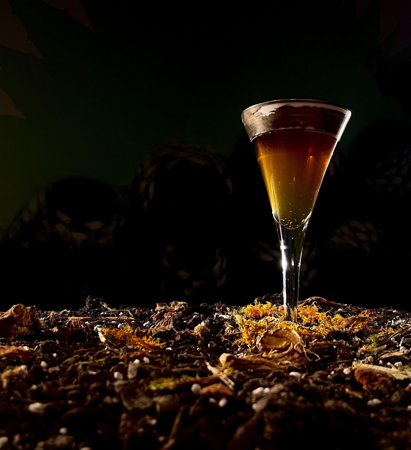 martini de hongos martini de hongos