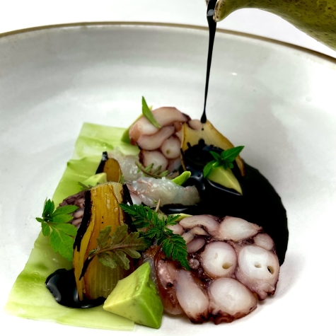 Aguachile de pulpo y camaron